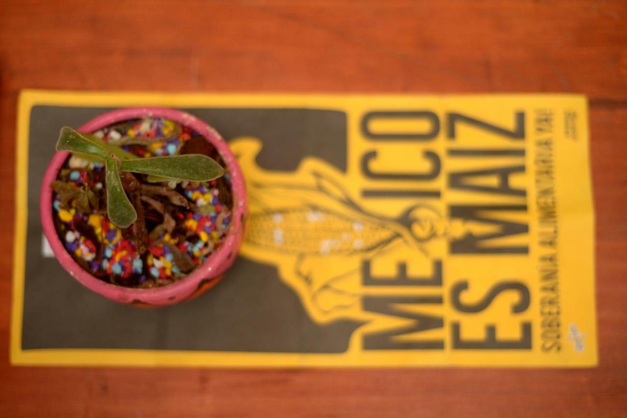 Pensión Casa Namaste